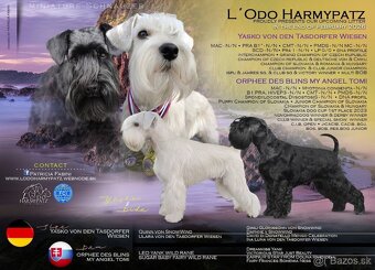 Knirac maly s PP - 4