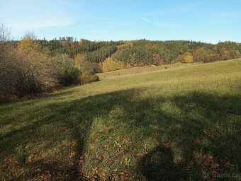 Prodej louky - Pecka - 4