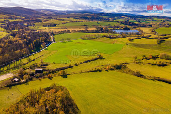 Prodej pole, 6484 m², Kolinec - 4