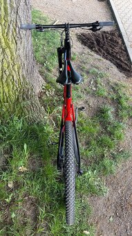 Cannondale Scalpel Carbon 3 Candy red, vel XL, LEFTY - 4