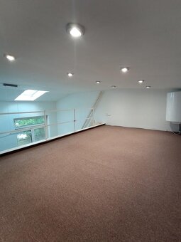 BEZ PROVIZE RK. Pronajmu atelier 1kk se zahrádkou Vršovice - 4
