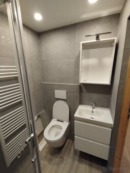 Pronájem bytu 1+1 37m2 - 4