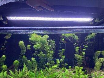 akvarium 200 l / filtr / led světlo - 4