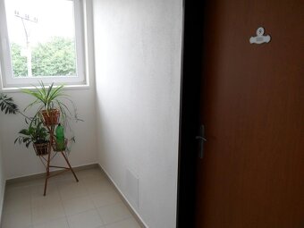 NOVÉ BYTY 1+KK,BEZ KAUCE,POUZE PRO 100%NEKUŘÁKY,PARKOVIŠTĚ - 4