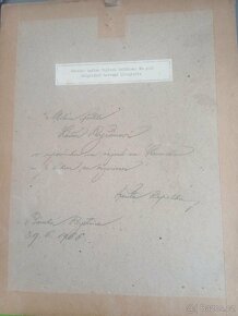 Vojtěch Sedláček - originál barevná litografie - 4