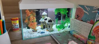 Akvarium - 4