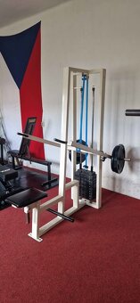 Posilovací stroj na triceps - 4