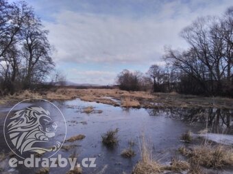 Pozemky o výměře 4609 m2, k.ú. a obci Janovice nad Úhlavou, - 4