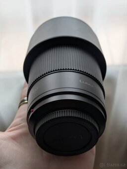 Panasonic Lumix G Vario 100-300mm f/4.0-5.6 Power O.I.S II - 4