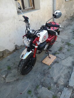 Honda Monkey 125 - 4