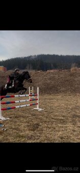 Top klisna - 4