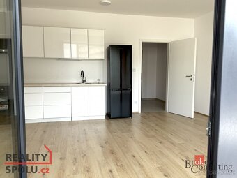 Pronájem, byty/1+kk, 47 m2, Železná, Jižní Předměstí, Plzeň - 4