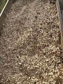 Dřevní stepka-listnaté stromy - 4