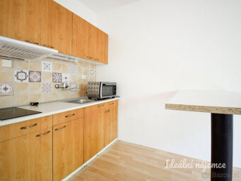 Pronájem bytu 1+kk, bratří Sapáků, Líšeň, 29 m2 - 4