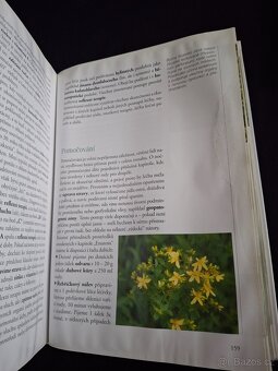Velký receptář alternativní medicíny - 4