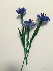 korálková květina - 4