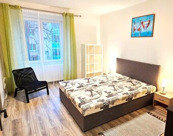 Zařízený 2+1, po rekonstrukci, Kolín - 4