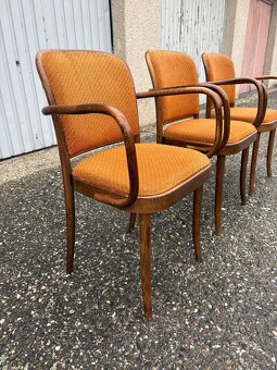 Křeslo Ton Hoffmann - 4