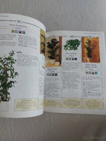 "200 pokojových rostlin pro každého" Richard Gilbert - 4