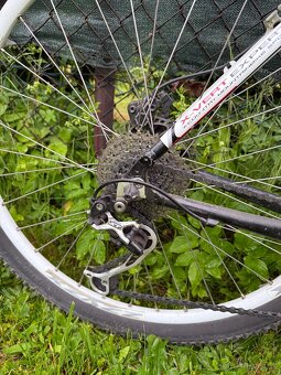Horské kolo Corratec X-Vert Expert - 4