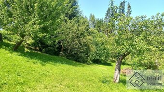 Chatka se zahradou, jen pár minut od Jablonného nad Orlicí - 4