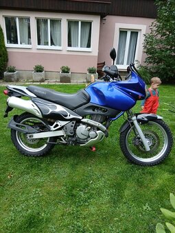 Suzuki XF 650 Freewind 35 kW - 4