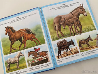 Dětská encyklopedie - Nové obrázky zvířat - 4