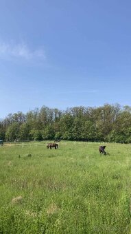 Možnost ustájení - 4