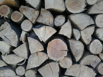 PALIVOVÉ DŘEVO ŠTÍPANÉ MĚKKÉ I TVRDÉ SUCHÉ - 4