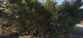 Bartovice (661 m2) - 4