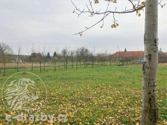 Zahrada, 6931 m2, obec Rožďalovice, okr. Nymburk - 4