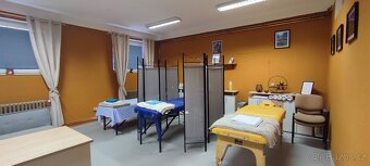 Pronájem masérského lehátka - 4