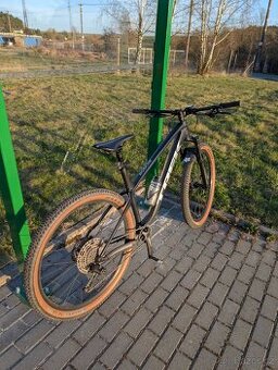 Trek Roscoe 7 2024 XL - 4