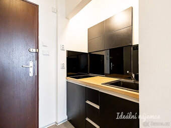 Pronájem bytu 1+kk, Dlouhá, Staré Město, 19900 Kč/měs, 30 m2 - 4