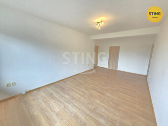 Pronájem bytu 3+1, 132613 - 4