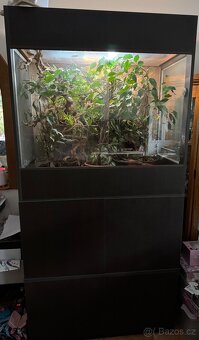 Terárium s chameleonem - 4