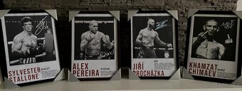 Conor McGregor - CustomMade obraz v rámu - 4