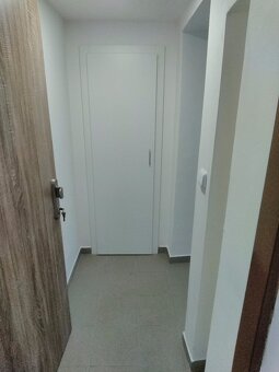 Byt 1kk pronájem - 4