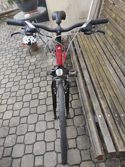 Kolo STR CROSS Bass lady - 4