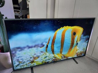 4K 139cm Philips smart TV s Ambilight osvětlením - 4