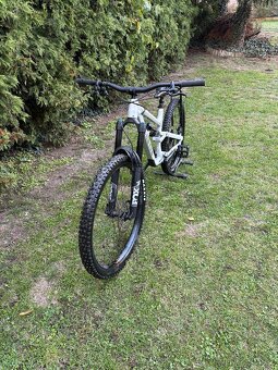 Canyon Torque 5 mullet - 4