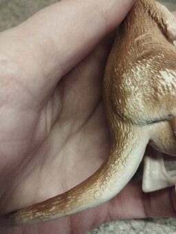 Schleich klokan s klokankem v kapse - 4