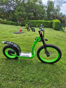 Hugo Bike Big One X - 4