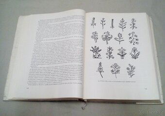 Výroční obyčeje a lidové umění - 4