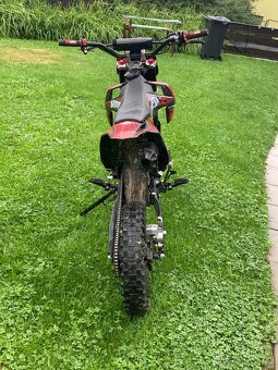 Pitbike Hecht 125 ccm - 4