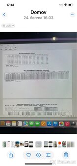 Prodám plemenné býky Aberdeen Angus Angus - 4