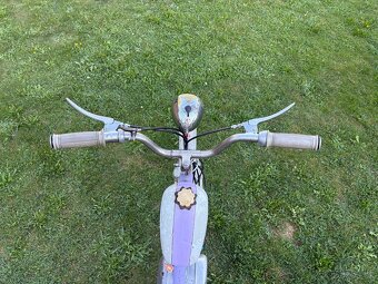 Raritní fialový stadion s11. - 4