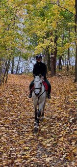 Poloviční pronájem - 4