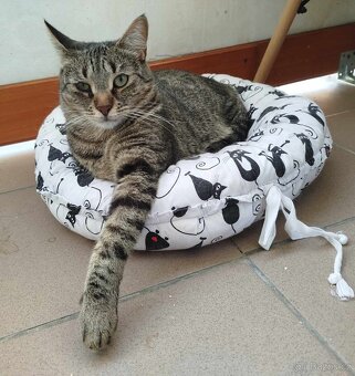 💔 Luky – kluk, který přežil všechno 💔 - 4