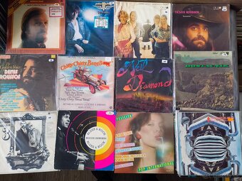 LP Desky 100kč kus - 4